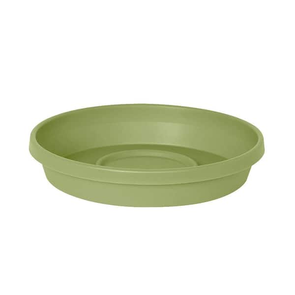 Unbranded Terra 5.75 in. x 1.06 in. Lotus Green Plastic Tray (Case of 24)