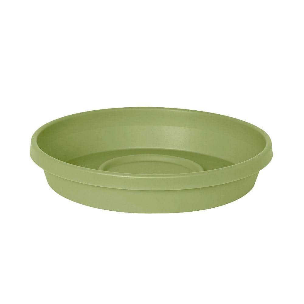 Terra 13.25 in. x 2.50 in. Lotus Green Plastic Planter Tray (Case of 12)
