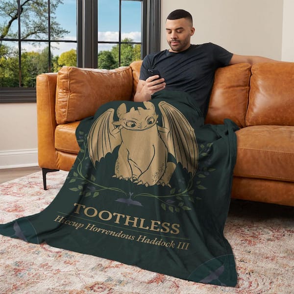 How to Train Your Dragon Hiccup and Toothless Multicolor Silk Touch Throw Blanket 60 x 80 in.