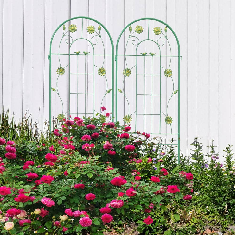 19.7 in. x 71 in. Metal Garden Rustproof Trellis for Climbing Plants, Green (2-Pack) price history on PriceWatchPro