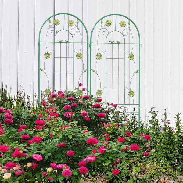 AUTMOON 19.7 in. x 71 in. Metal Garden Rustproof Trellis for Climbing Plants, Green (2-Pack)