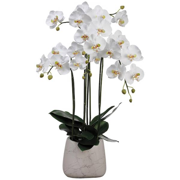 ALLSTATE FLORAL INC Artificial Phalaenopsis Orchid Plant in Marble Look Pot
