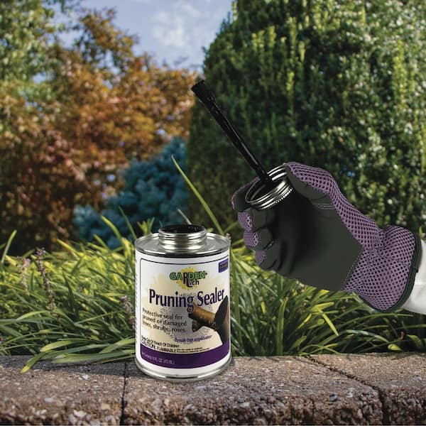 Bonide Garden Rich 16 oz Tree Pruning Sealer