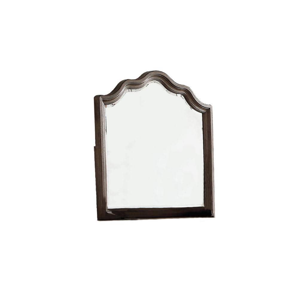 40 in. x 40 in. Classic Retro Irregular Framed Novelty Decorative Mirror