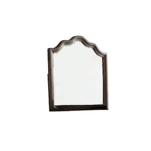 40 in. x 40 in. Classic Retro Irregular Framed Novelty Decorative Mirror