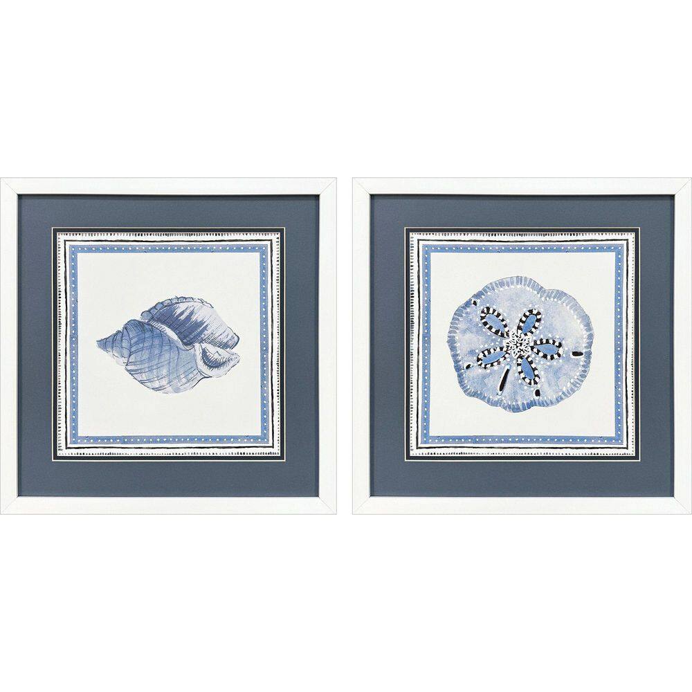 Seaside Blues by Loreth 2-Piece Framed Animal Wall Art 17 in. x 17 in. price history on PriceWatchPro