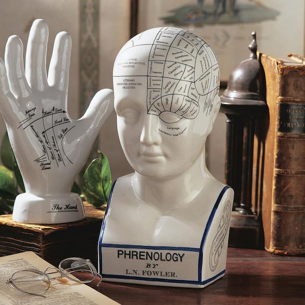 Design Toscano Porcelain Phrenology Novelty Head Statue SP020