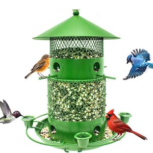 Exquisite Green Iron Squirrel Guard Hanging Multiple Bird Species Seed Feeder - 6 lbs. 1-Pack