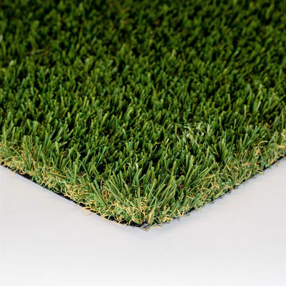 GREENLINE ARTIFICIAL GRASS Classic 54 Fescue 15 ft. x 25 ft. Green Artificial  Grass Rug GLCLAS54F1525 The Home Depot