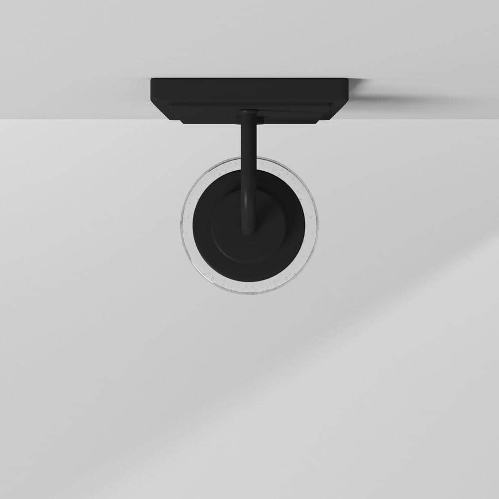 Matte Black and Clear Glass Wall Sconce Light