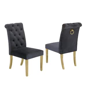 Andy Dark Gray Velvet Gold Stainless Steel Dining Chairs (Set of 2)