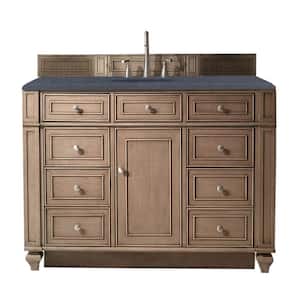 Bristol 48 in. W  x 23.5 in. D x 34 in. H Single Vanity in Whitewashed Walnut with Quartz Top in Charcoal Soapstone
