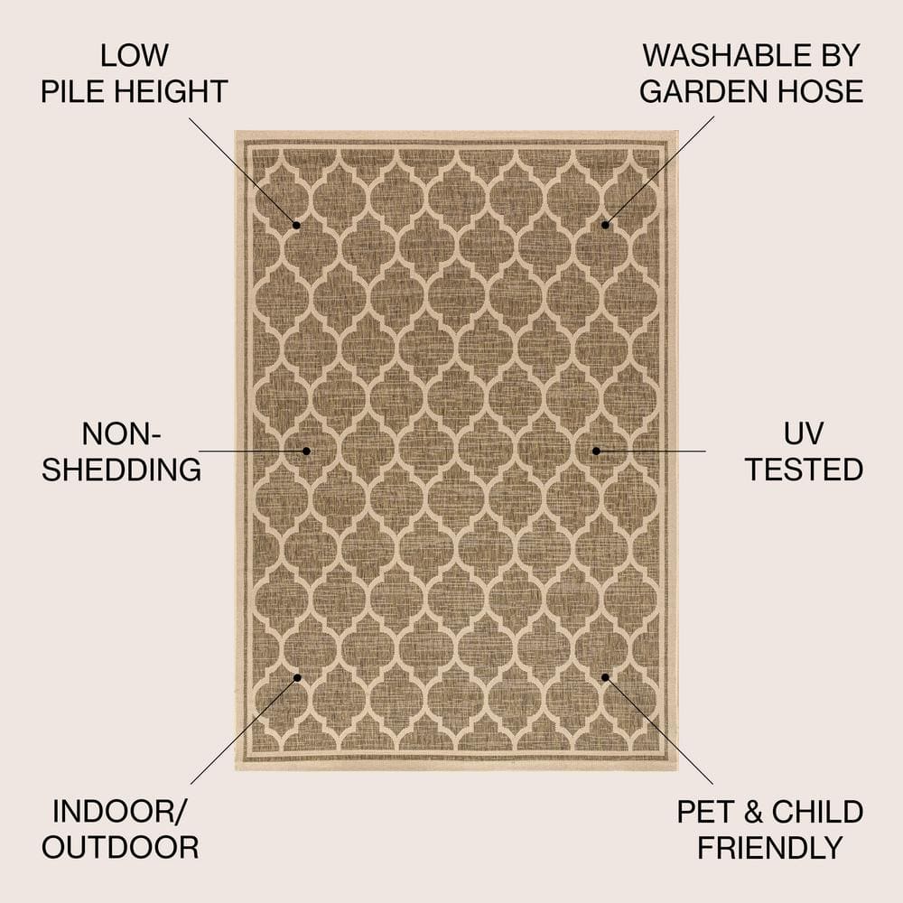 Trellis Textured Weave Indoor/Outdoor Brown/Beige 8' x 10' Rug