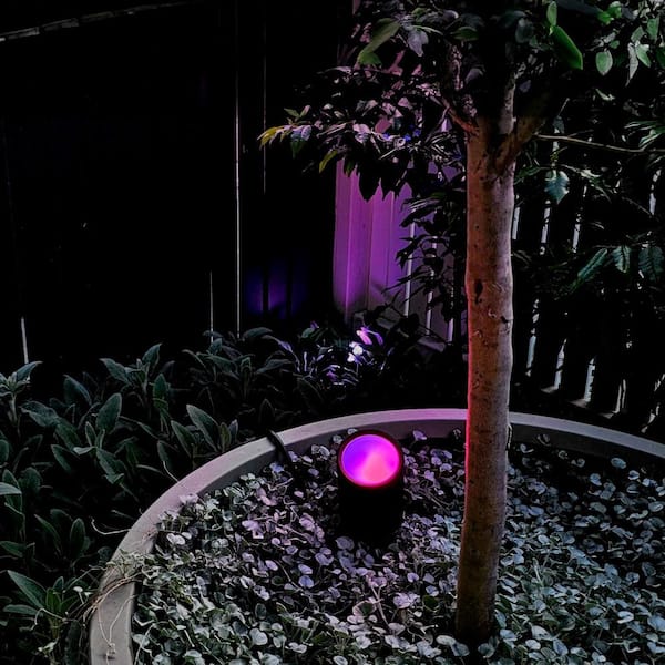 LIFX Low Voltage 1600 Lumens Black RGB Integrated LED Smart Wi-Fi