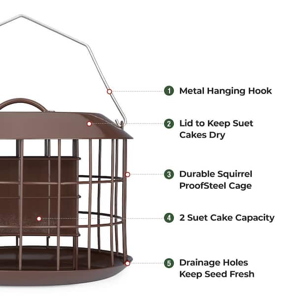 Suet Bird Feeder, Hanging Suet Feeder, Single Suet Cake Bird Feeder, One Suet Capacity
