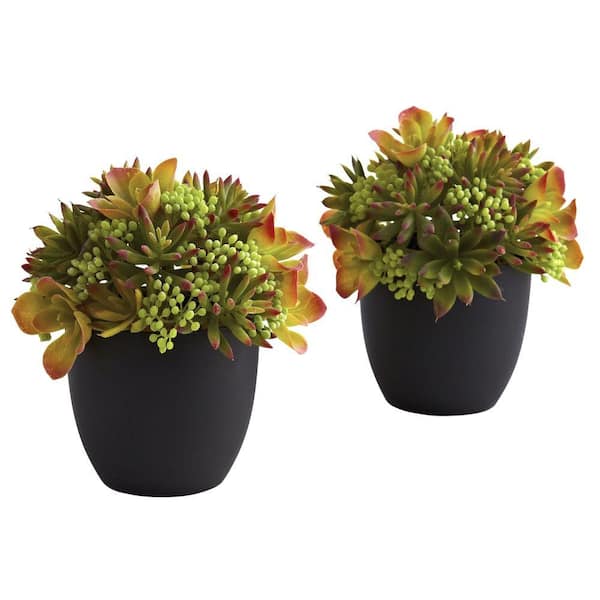 Nearly Natural Mixed Succulent with Black Planter (Set of 2)