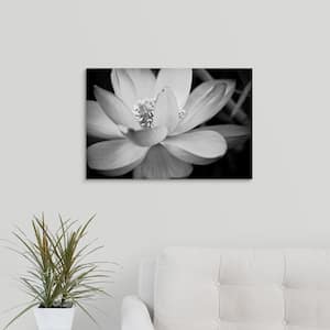 "Black And White Flower II" by Dream On Photography Canvas Wall Art