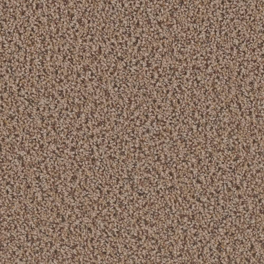 8 in. x  8 in. Texture Carpet Sample - Dream Wish -Color Whim price history on PriceWatchPro