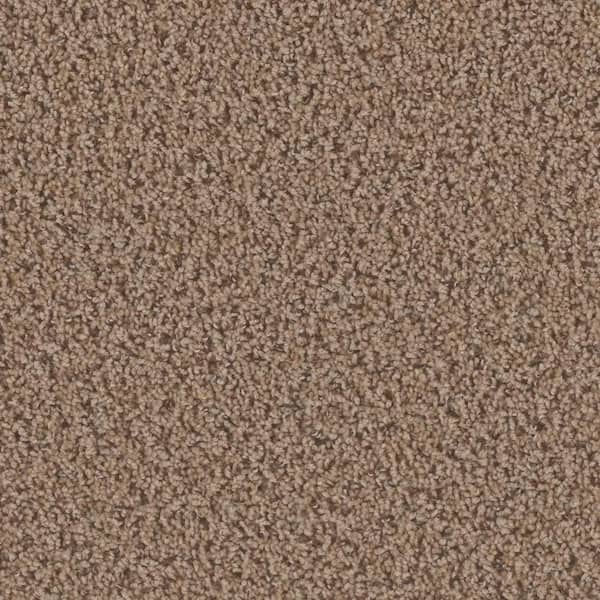 TrafficMaster 8 in. x  8 in. Texture Carpet Sample - Dream Wish -Color Whim