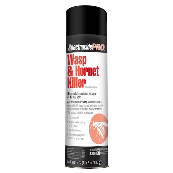 18 oz. PRO Wasp and Hornet Killer Aerosol (Insect Killer) (12-Pack)