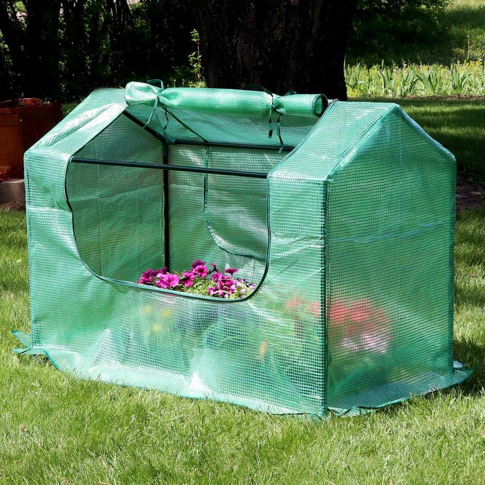 Sunnydaze Green 4' x 2' Iron and PVC Mini Greenhouse