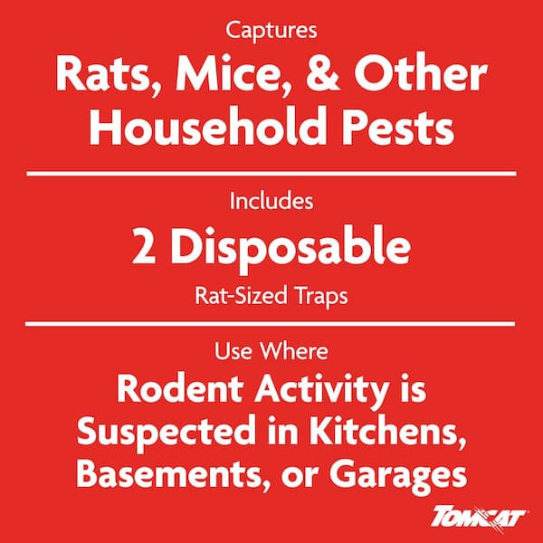 Super Hold Glue Traps Rat Size for Rats, Mice, Snakes, Cockroaches, Spiders, and Scorpions, Ready-To-Use, 2 Traps