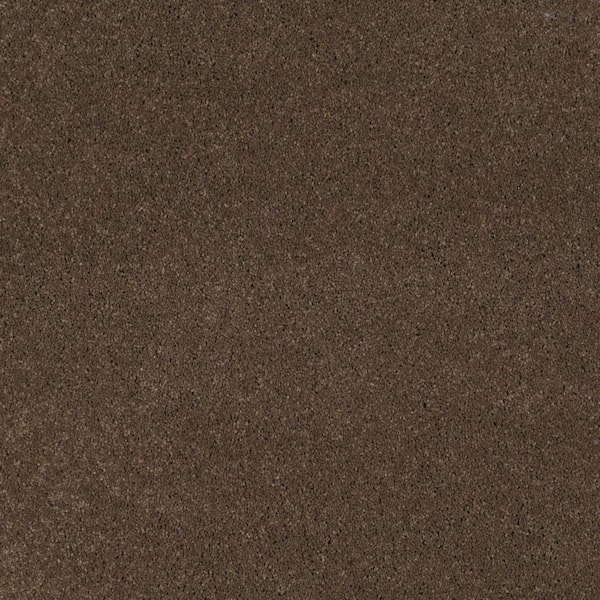 SoftSpring Carpet Sample - Miraculous II - Color Brazil Nut Texture 8 in. x 8 in.