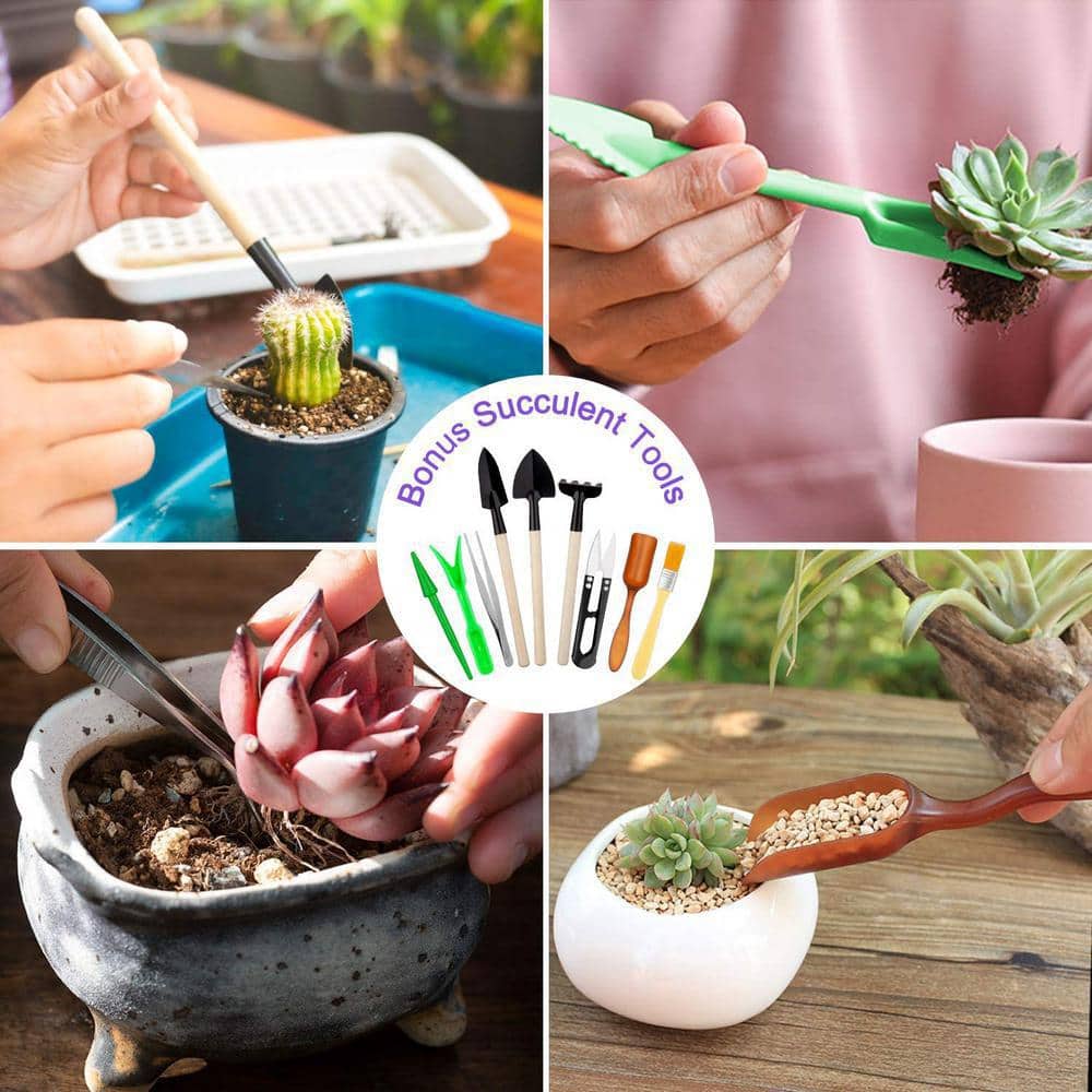 Garden Tools Set, Extra Succulent Tools Set, 83Pcs Heavy Duty Gardening Tools with Garden Tool Bag,Knee Pads Gloves Sprayer Garden Kit, Outdoor Gardening Gifts Tools for Men Women