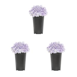 metrolina-greenhouses-