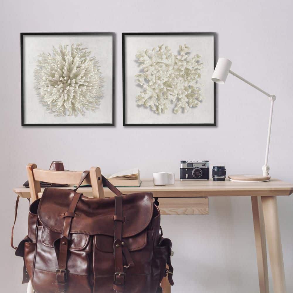 Distinct Natural Coral by Caroline Kelly 2-Piece Black Framed Animal Giclee Art Print 24 in. x 24 in. price history on PriceWatchPro