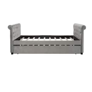 Gray Composite Frame Twin Panel Bed with Tufted; Upholstered