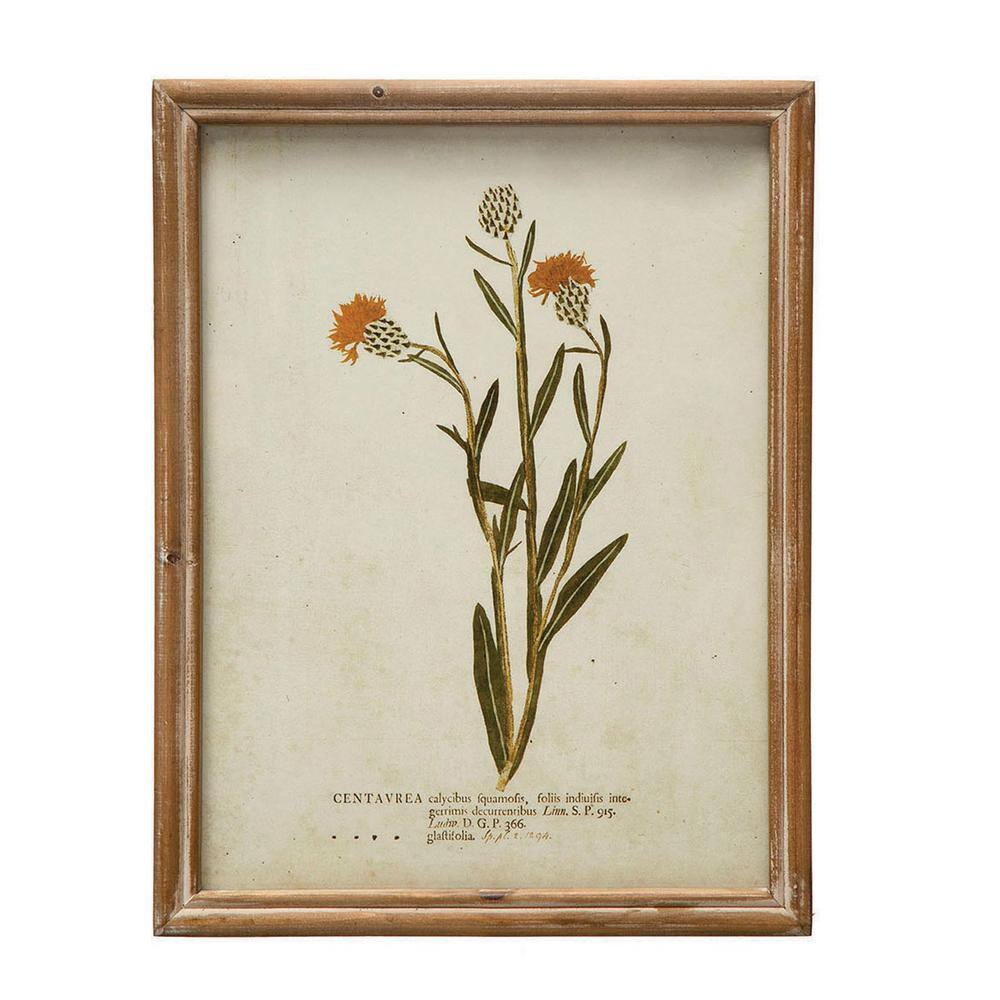 Vintage Botanical Print Set in Wood Frames, 10" x 13"