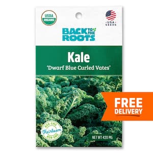 Organic Dwarf Blue Curled Vates Kale Seed (1-Pack)