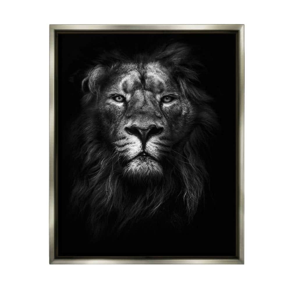 King of the Jungle Lion In Shadows Photography by Design Fabrikken Floater Frame Animal Wall Art Print 31 in. x 25 in. price history on PriceWatchPro