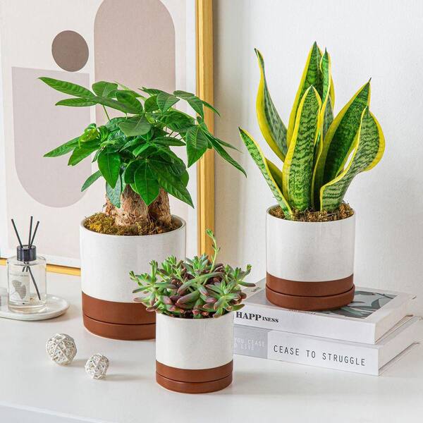 Khaki Ceramic Plant Pots, 3-Piece Planters for Indoor Plants, 4.25 + 5.25 +  6.25 in. RT1055 - The Home Depot