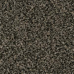 Gilbert Park II - Georgian - Black 66 oz. Polyester Texture Installed Carpet