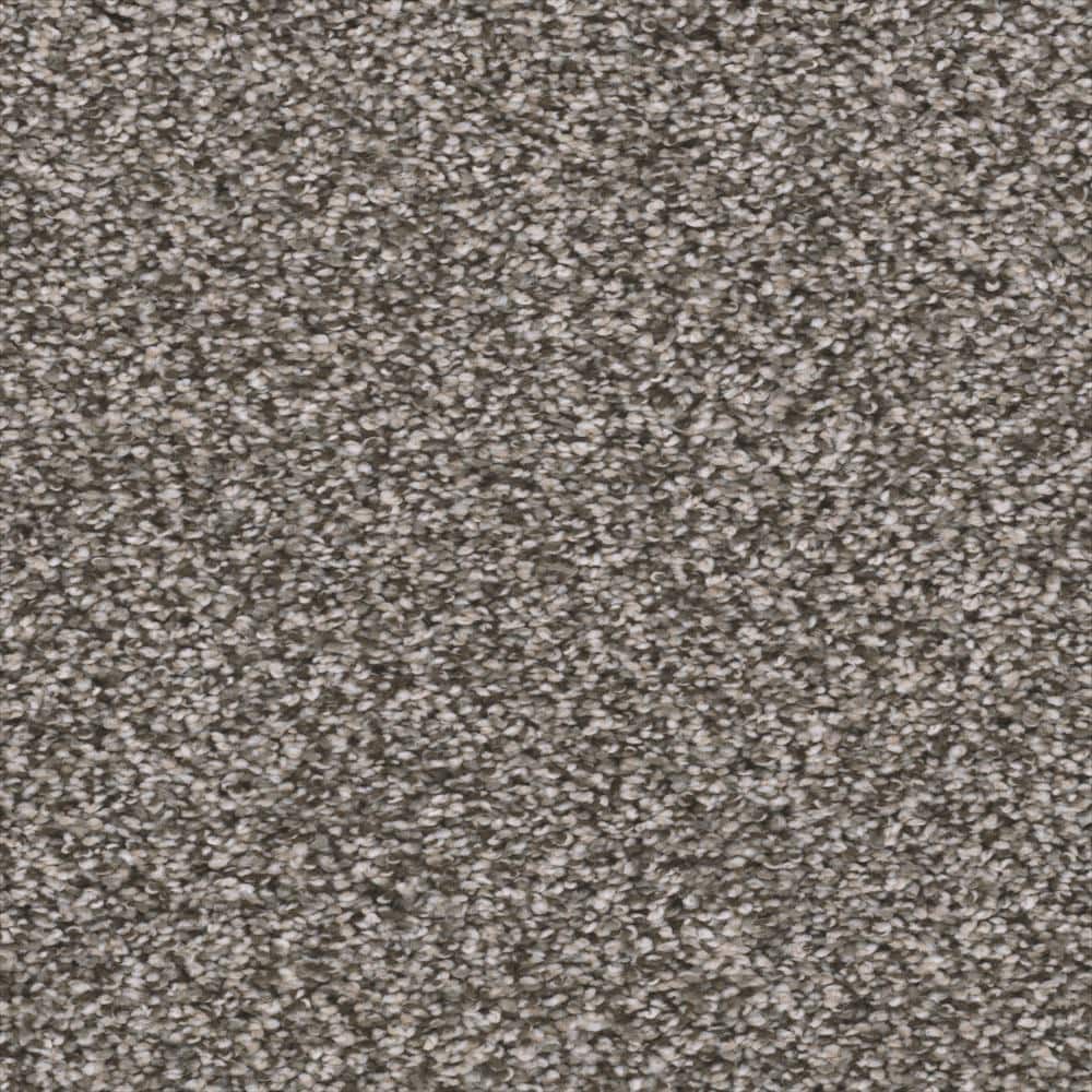 8 in. x 8 in. Texture Carpet Sample - Fall Skies I -Color Soft Flannel price history on PriceWatchPro
