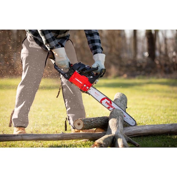 Senix SENIX 20 Volt Max 10-Inch Cordless String Trimmer, Battery and  Charger Included at Tractor Supply Co.