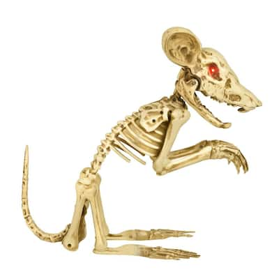 Skeleton - Home Accents Holiday - Halloween Decorations - Holiday ...