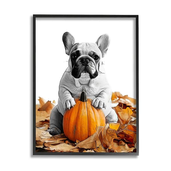 Stupell Industries Puppy with Fall Pumpkin by Annalisa Latella 1 Piece Framed Graphic Print Animal Poster Art Print 20 in. x 16 in.