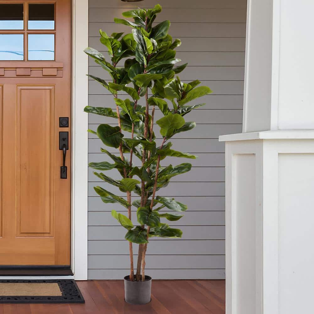 Lush Green 72" Fiddle Leaf Fig Topiary with Lights in Black Plastic Pot