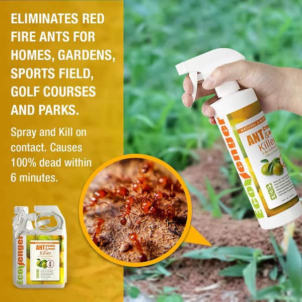 STEM Kills Ants, Roaches and Flies, plant-based active ingredient bug spray,  botanical insecticide for indoor and outdoor use , 12 Ounce (Pack of 3) 