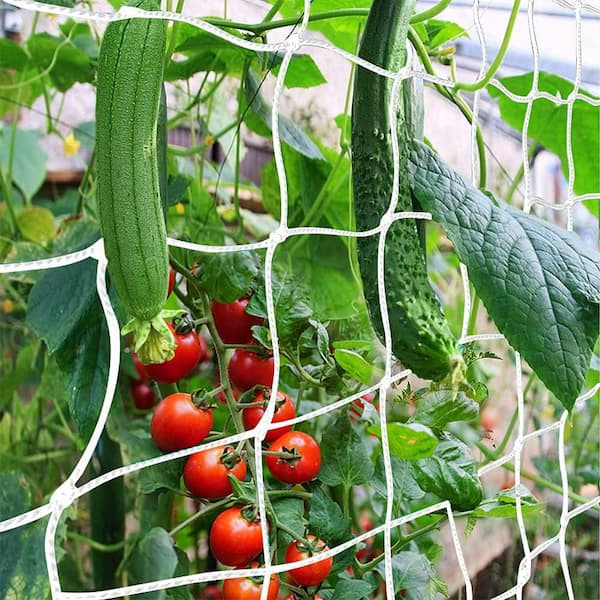 6 x 15 ft. Heavy-Duty Garden Plant Trellis Netting for Climbing Plants Outdoor Indoor Use 1 Pack