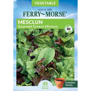 Mesclun Gourmet Greens Mixture Vegetable Seed