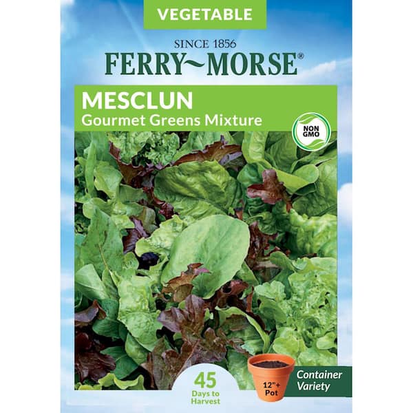 Ferry-Morse Mesclun Gourmet Greens Mixture Vegetable Seed