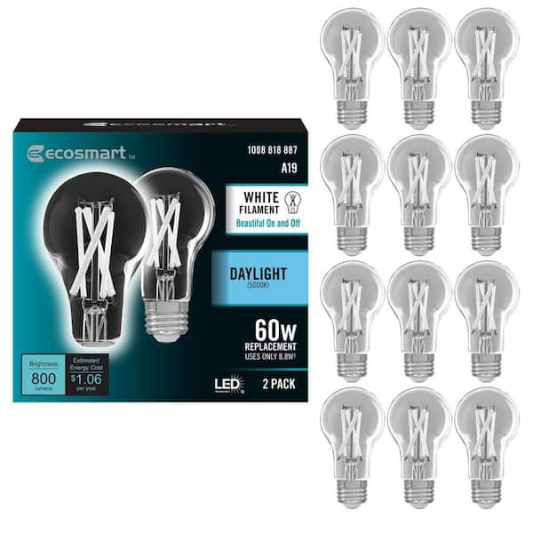 60-Watt Equivalent A19 Dimmable White Filament CEC Clear Glass E26 LED Light Bulb Daylight 5000K (12-Pack)