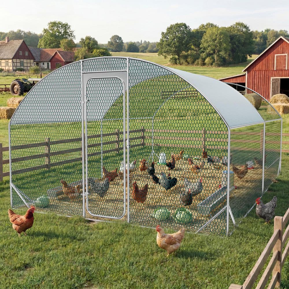 Tunearary 120 in. x 156 in. x 79 in. Walk-In Chicken Coop