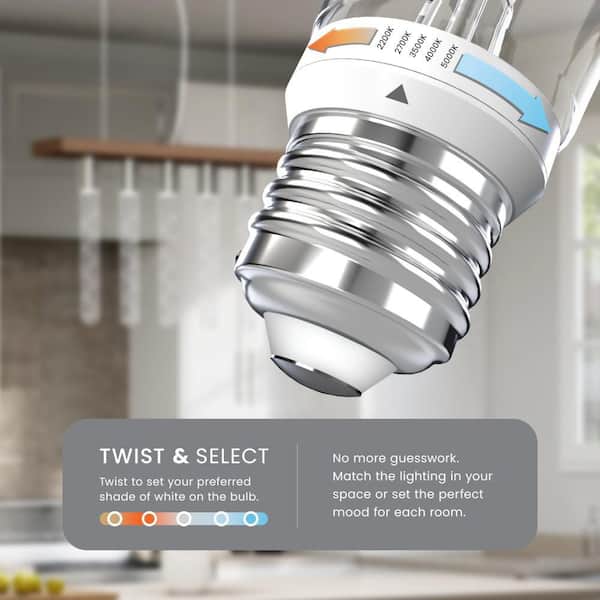 60-Watt Equivalent T10L Dimmable Spiral White Filament E26 Vintage Tubular Twist Select LED Light Bulb Selectable White