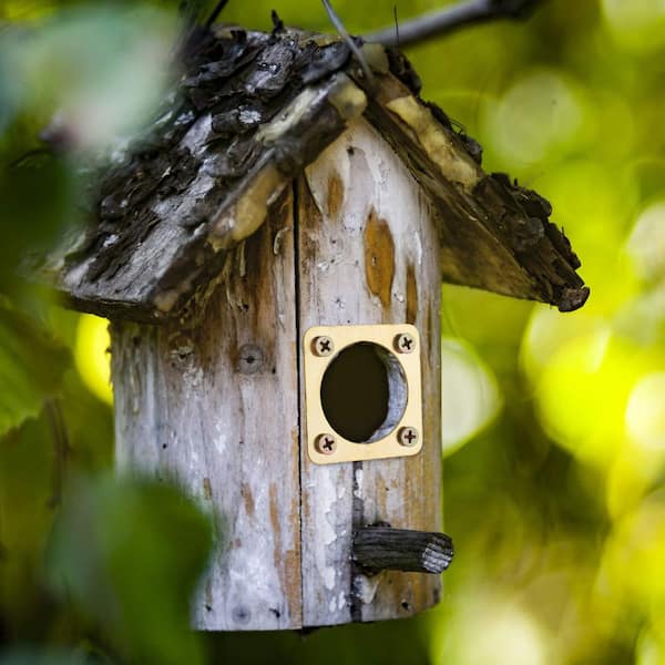 OGETFUUR Metal Bird House Guard with Copper Portal, Snake