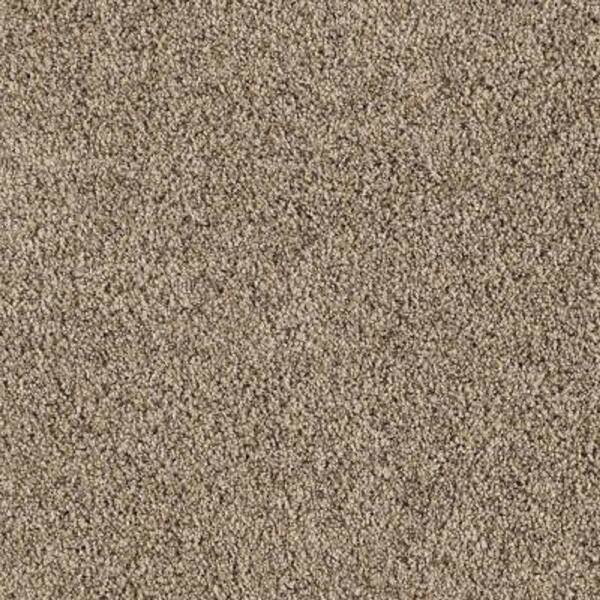 Lifeproof Carpet Sample - Courtlyn I - Color Pebble Path Texture 8 in. x 8 in.